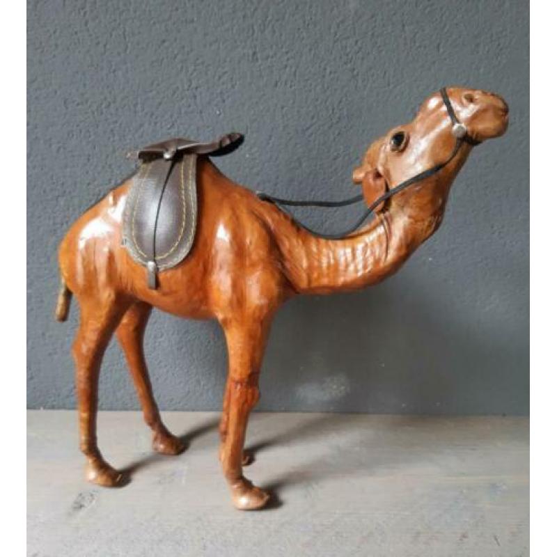 Dromedaris van leer, 30 cm