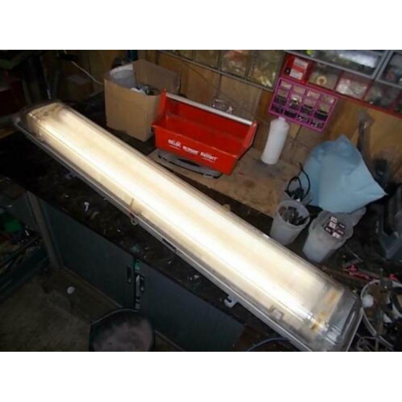 KweekLamp Groeilamp TL-Bak +2 Lampen 120cm Wit of Blauw IP65