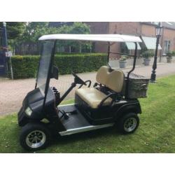 48 volt elektrische golfcart recente accu’s automatisch vuls