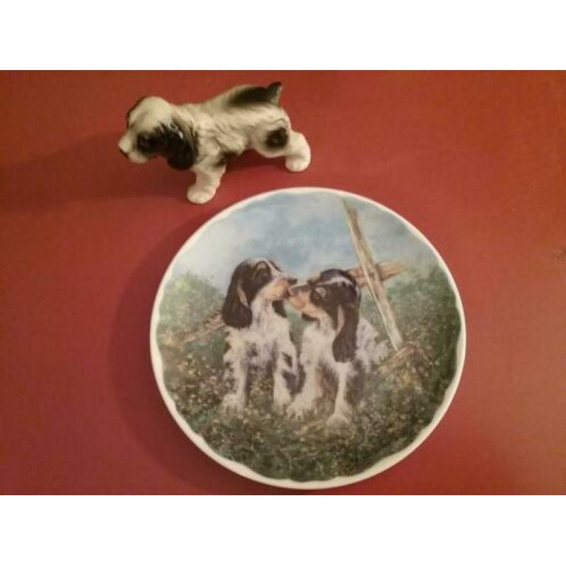 Bordjes Cocker Spaniel