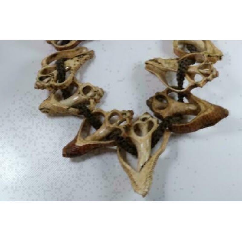 Ketting schelpen west Nepal/Tibet