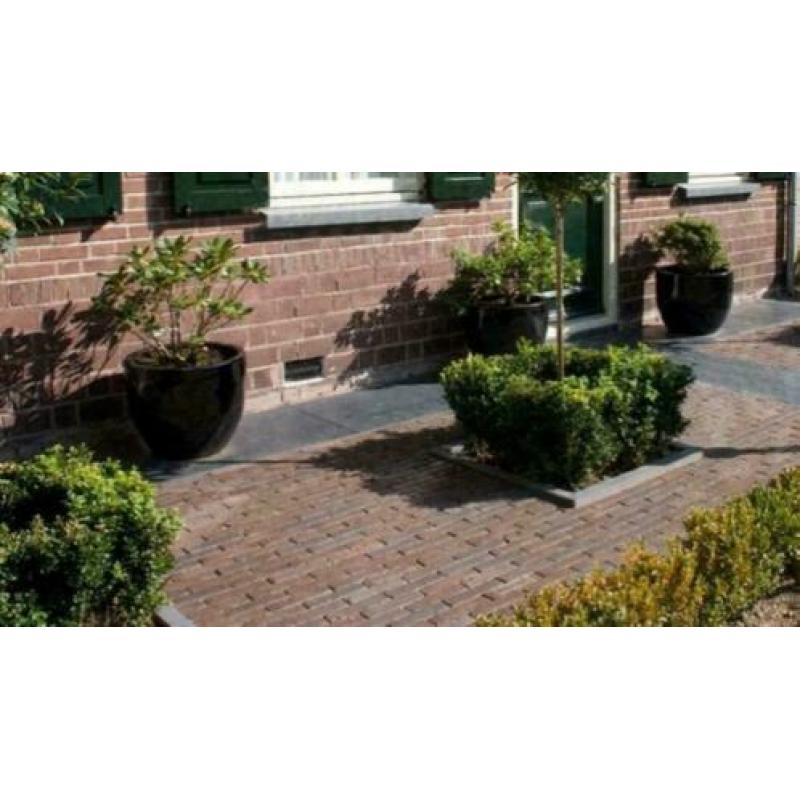 Grote Partij Gebakken WF en DF klinkers 6cm Rood/Bruin gen.