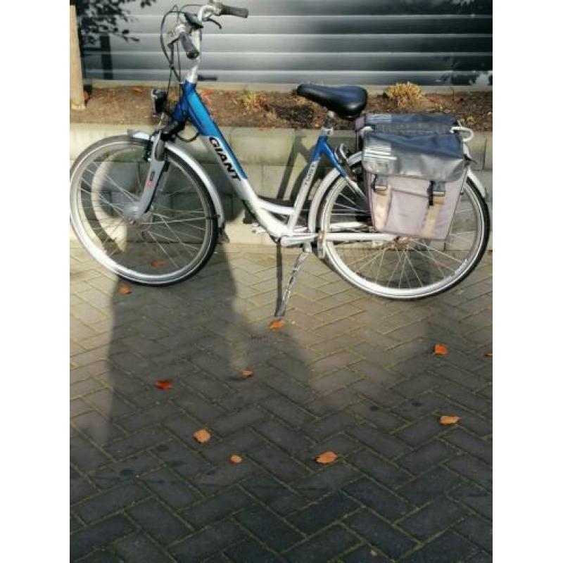 E-bike Giant Twist met twee accu, s
