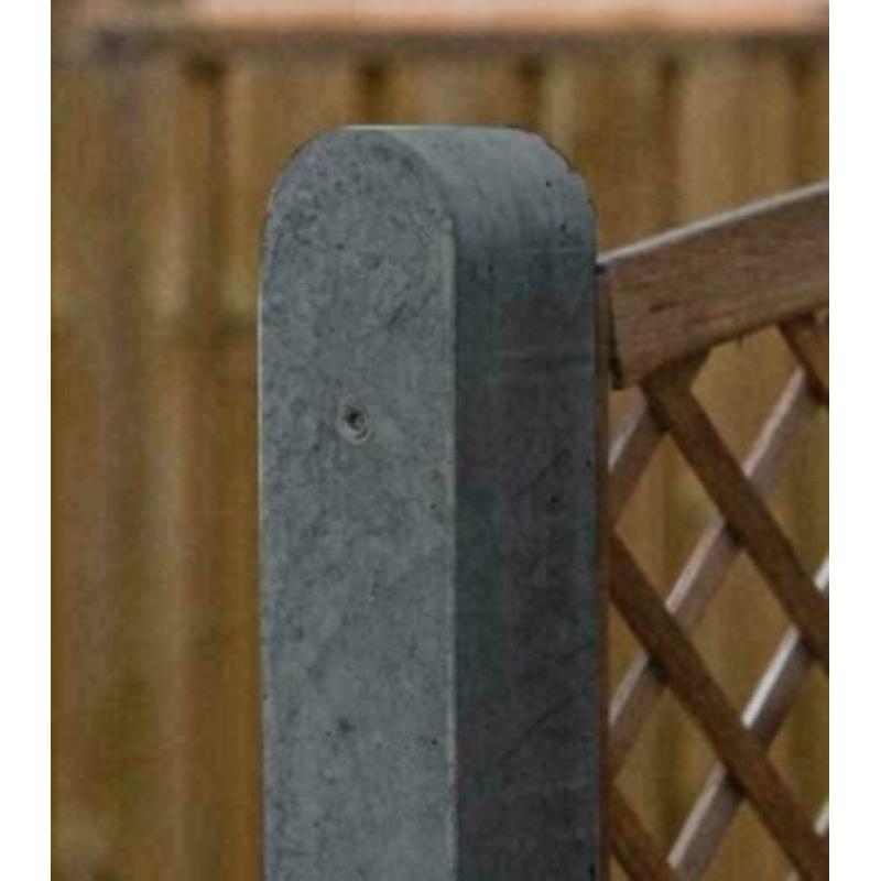 Tuinschermen Betonpalen antraciet of wit-grijs