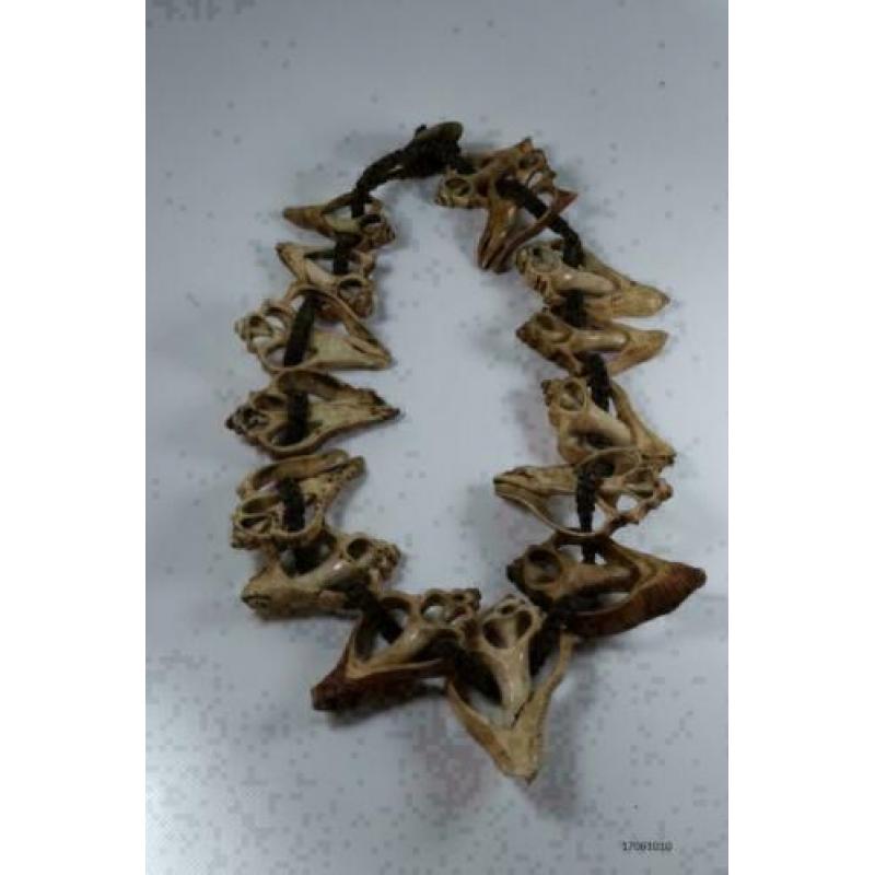 Ketting schelpen west Nepal/Tibet