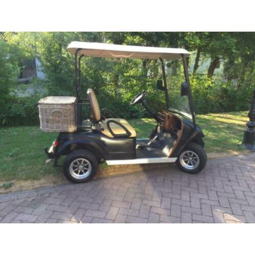 48 volt elektrische golfcart recente accu’s automatisch vuls