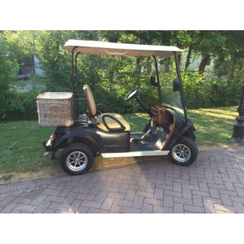 48 volt elektrische golfcart recente accu’s automatisch vuls