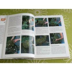 Geïllustreerde kuipplanten encyclopedie