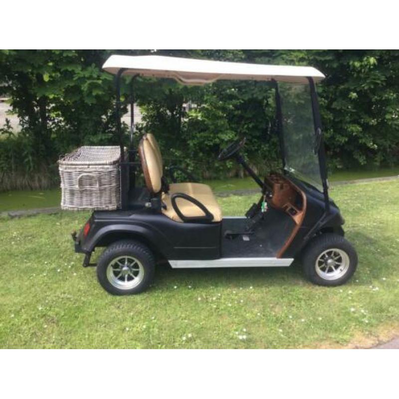 48 volt elektrische golfcart recente accu’s automatisch vuls