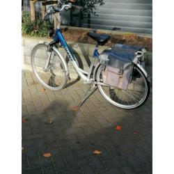 E-bike Giant Twist met twee accu, s