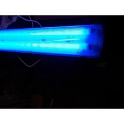 KweekLamp Groeilamp TL-Bak +2 Lampen 120cm Wit of Blauw IP65