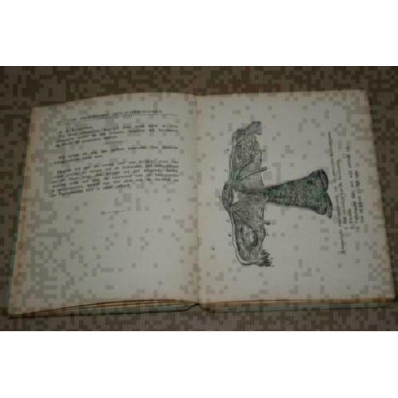 Een boek voor jonge vrouwen en meisjes (geslachtsleven) 1940