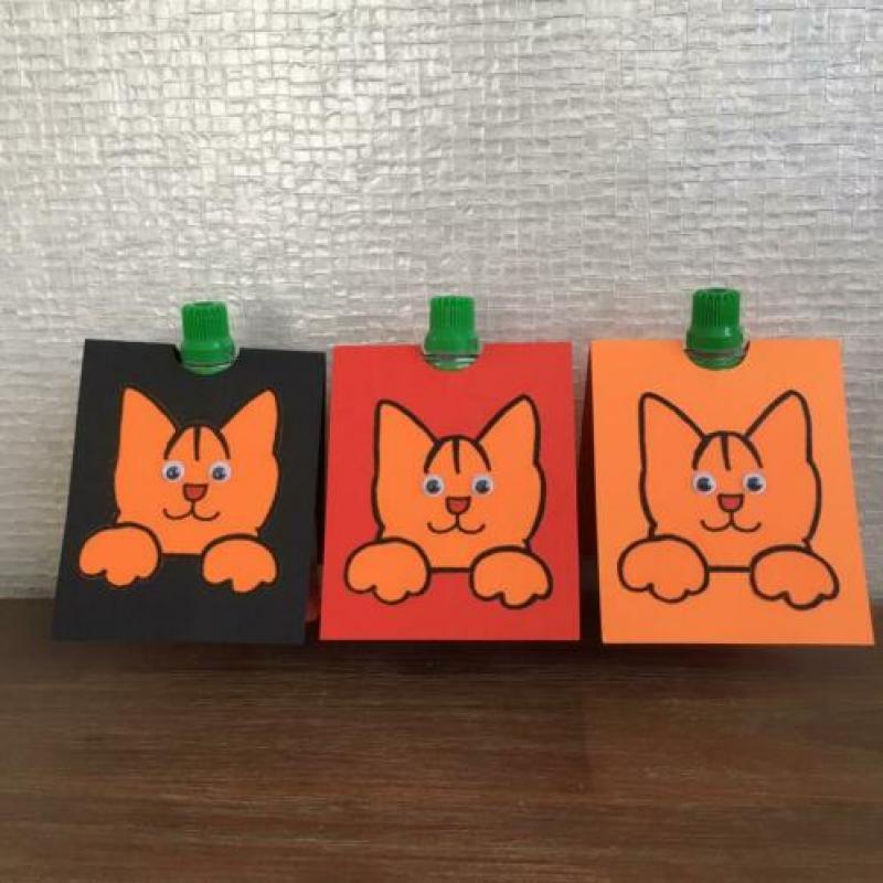 Leuke hoesjes voor knijpfruittraktatie