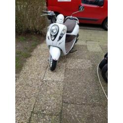 Te koop Sym Mio