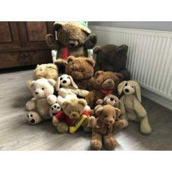 Diverse teddy knuffels ??