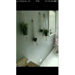 Plantenhangers van jute touw in div.maten. Vanaf 2.50