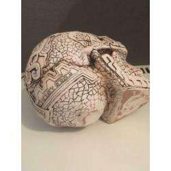 Skull / schedel uit Midden Amerika met Maya tekeningen , gem