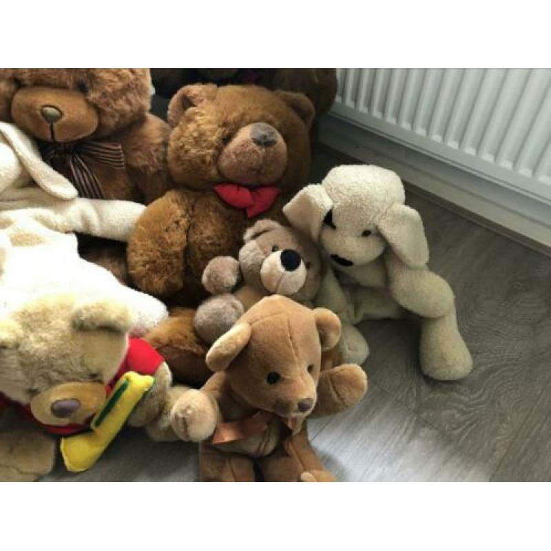 Diverse teddy knuffels ??