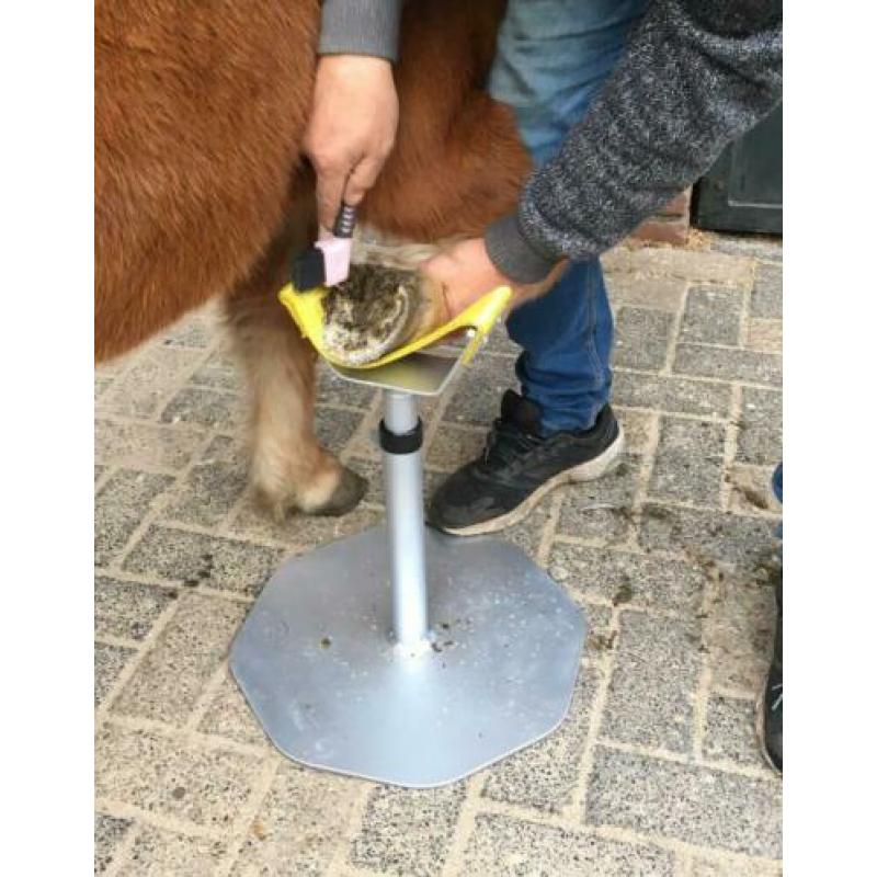 2 delige hoefbok met nieuwe hoefrasp.