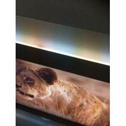 Prachtige Philips Cineos 42” Lcd Ambilight