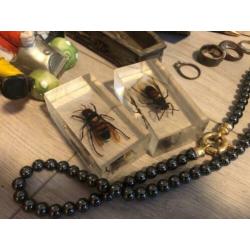 Leuke partij kleine verzamel items