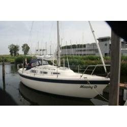 Hurley 800 (1990) zeiljacht te koop