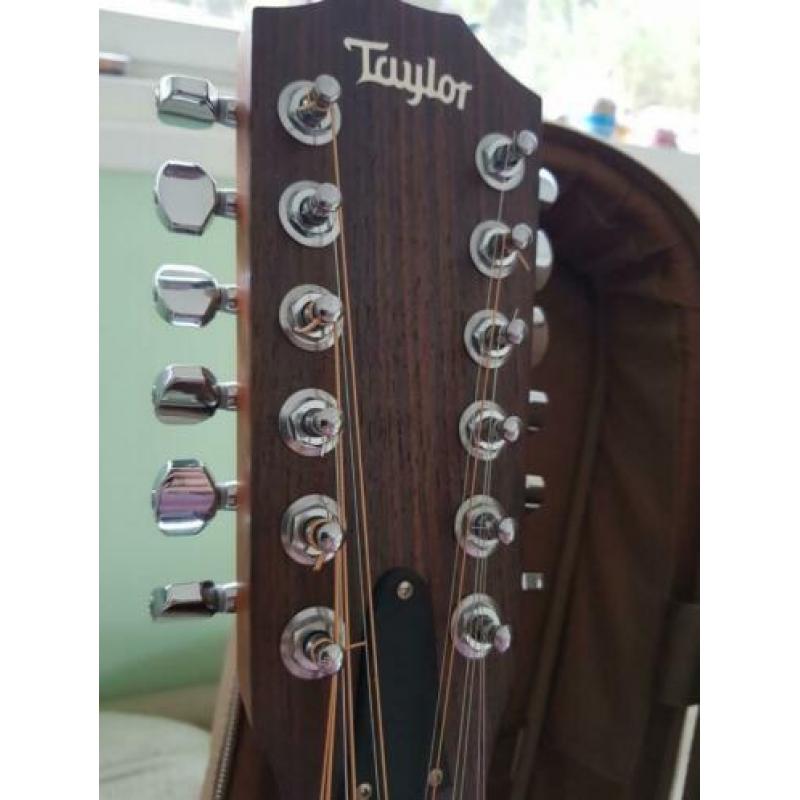Taylor 12 string semi acoustiche