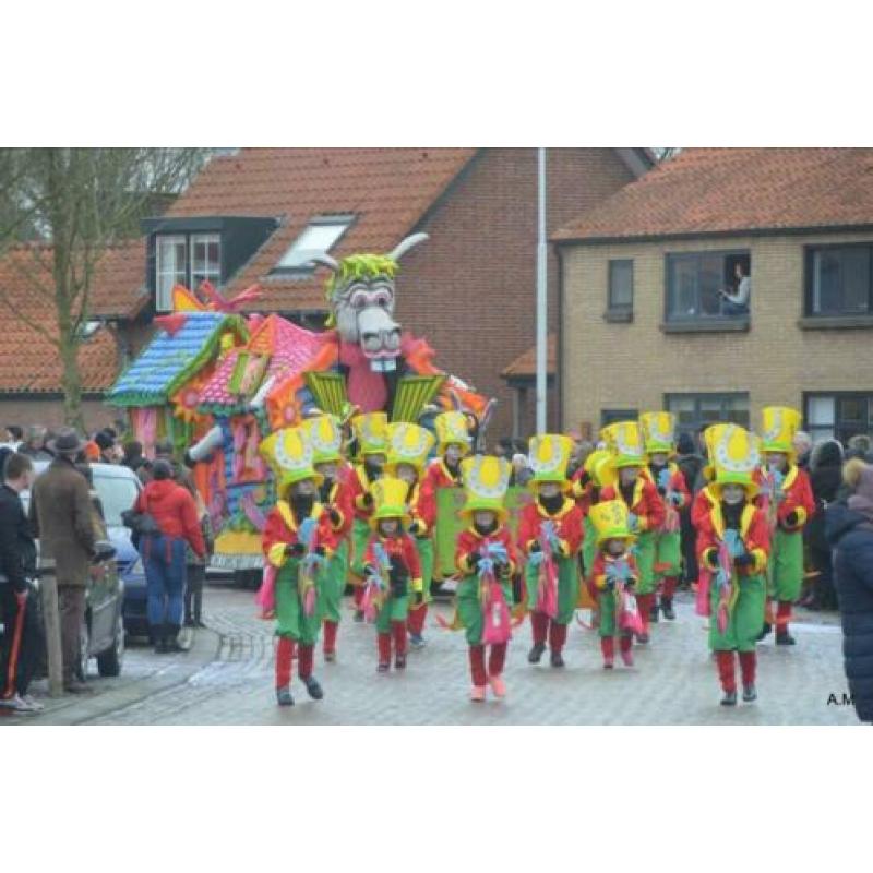 Te koop prachtige unieke Carnavalswagen!