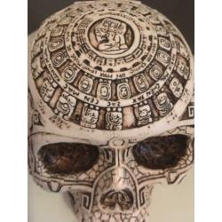 Skull / schedel uit Midden Amerika met Maya tekeningen , gem