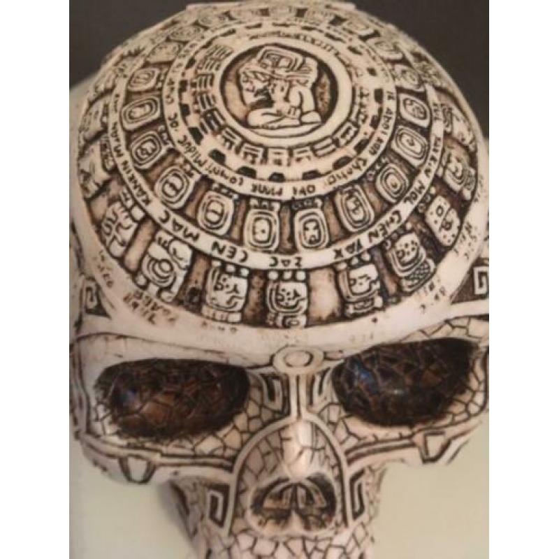 Skull / schedel uit Midden Amerika met Maya tekeningen , gem
