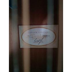 Taylor 12 string semi acoustiche