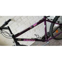Mountainbike