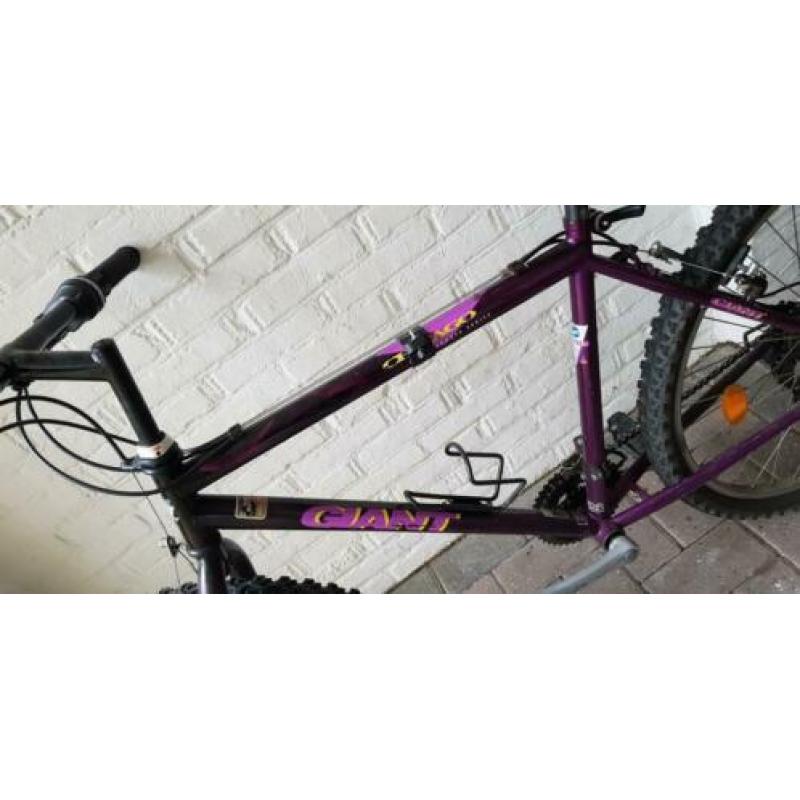 Mountainbike