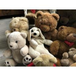 Diverse teddy knuffels ??