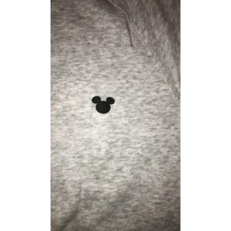 Trui van Mickey en Minnie mouse maat 152 Hennes&Mauritz H&M