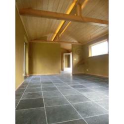 terrastegels Chinees hardsteen / Spotted Bluestone 60x60 cm