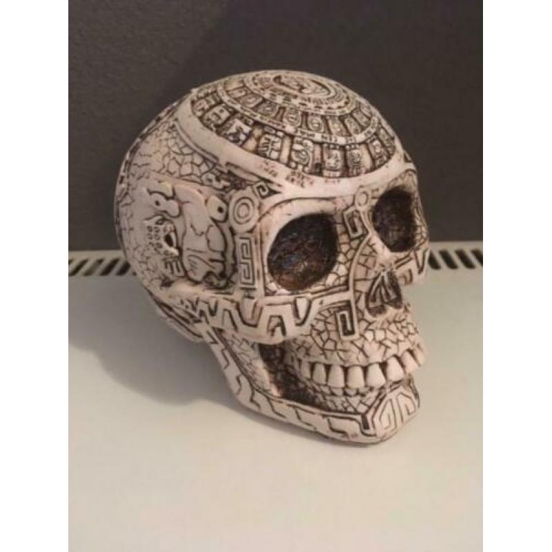 Skull / schedel uit Midden Amerika met Maya tekeningen , gem