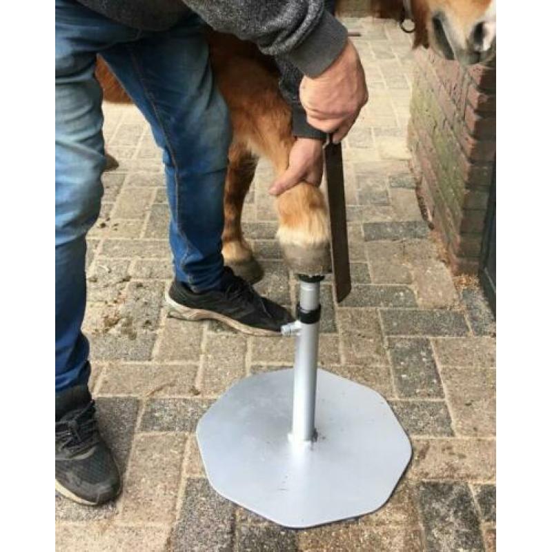 2 delige hoefbok met nieuwe hoefrasp.