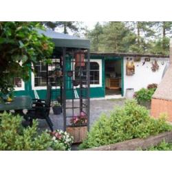 campings en kamperen