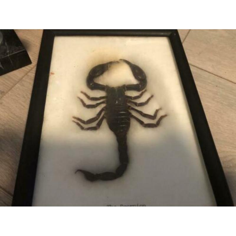 Leuke partij kleine verzamel items