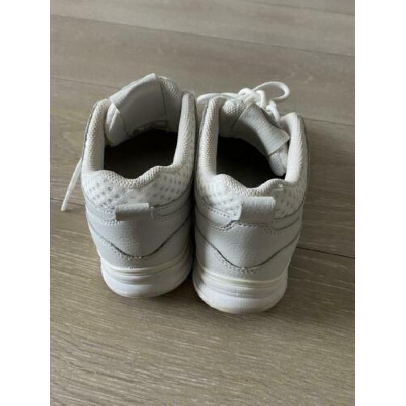 Sneakers gourmet maat 38