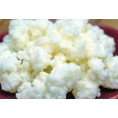 Biologische Melk Kefir