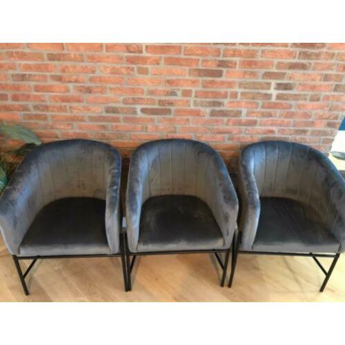 3x WOOOD Denver velvet grijze stoelen / h 79, b 60, d 58.