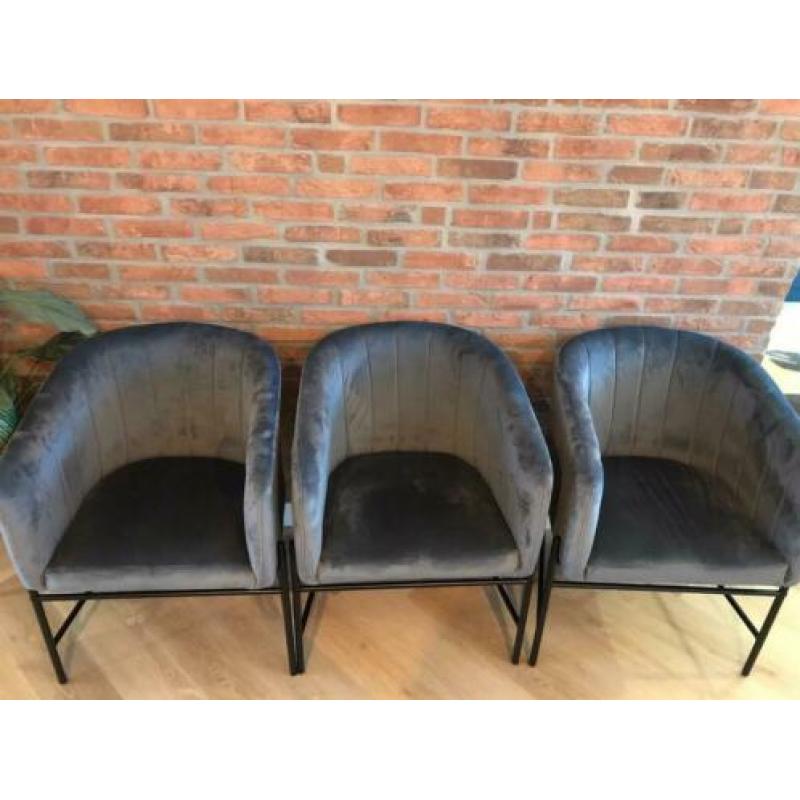 3x WOOOD Denver velvet grijze stoelen / h 79, b 60, d 58.