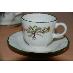 Servies met groen onkruid.