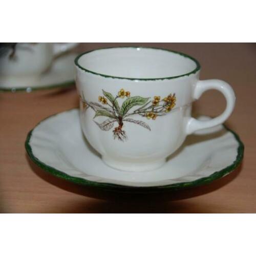 Servies met groen onkruid.