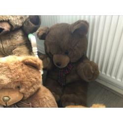 Diverse teddy knuffels ??