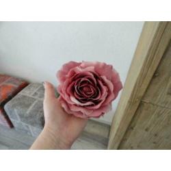 Kleine bloemen verzameling alles in 1 koop Orchidee Roos