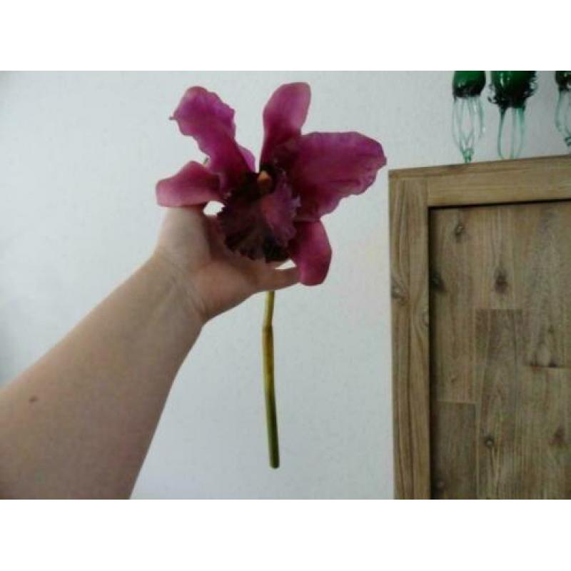 Kleine bloemen verzameling alles in 1 koop Orchidee Roos