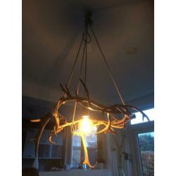 Rendiergewei lamp